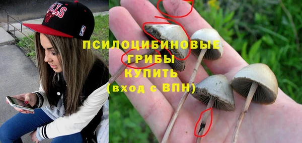 а пвп мука Беломорск