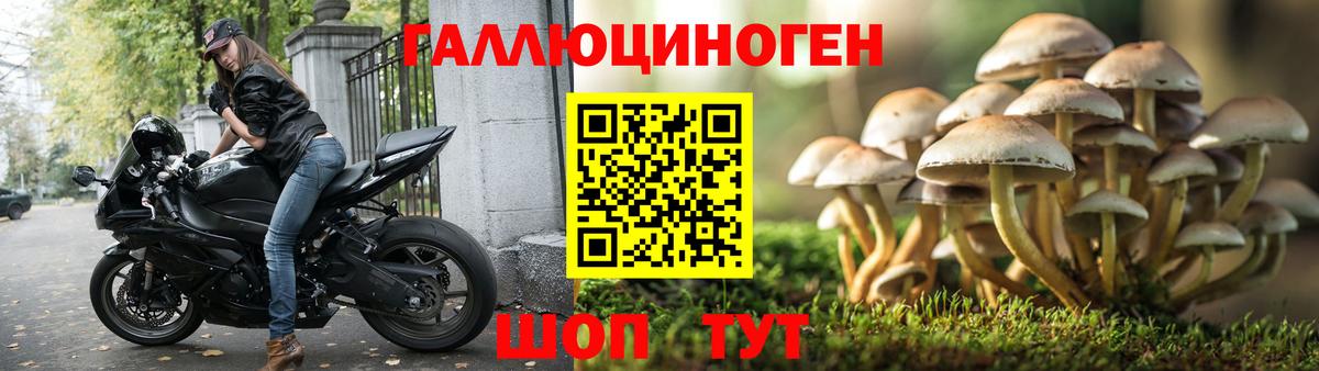 Псилоцибиновые грибы GOLDEN TEACHER  Псилоцибиновые грибы мицелий  Вход с VPN  Вятские Поляны 